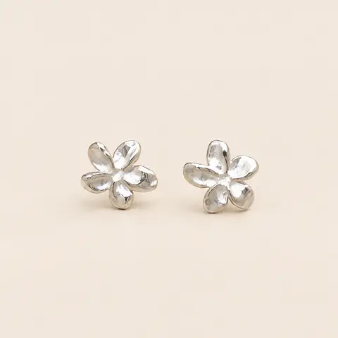 Florisse — Plata — Principal